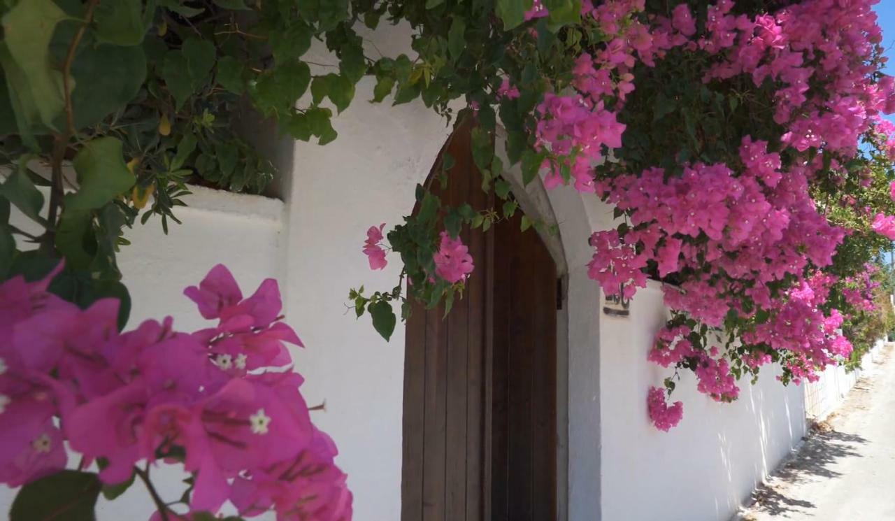Alexiszorba Villa Pláka Ngoại thất bức ảnh
